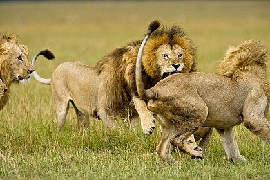 CDPR庆祝《巫师3》发售7周年